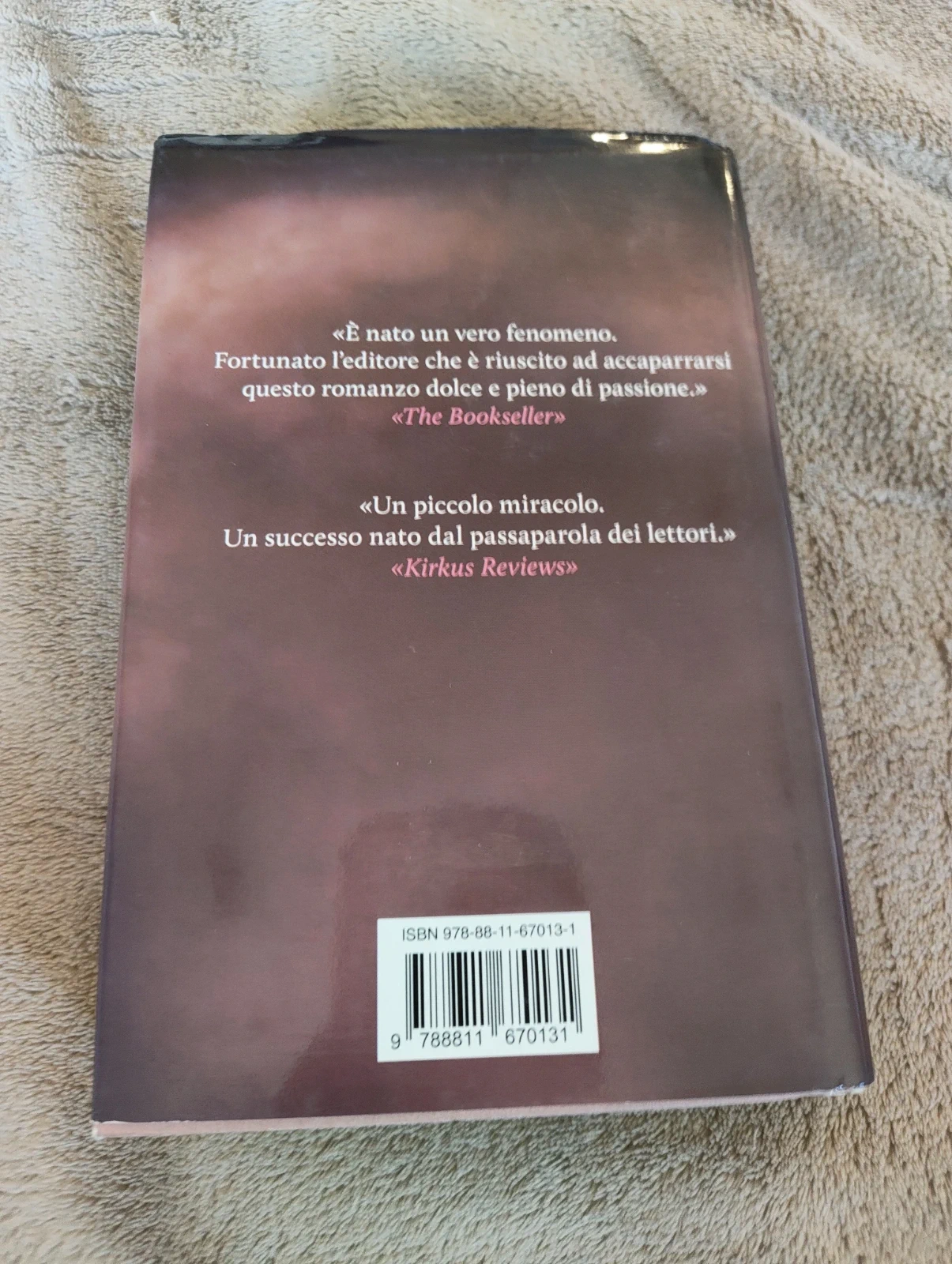 Uno splendido disastro Jamie McGuire Garzanti 2013