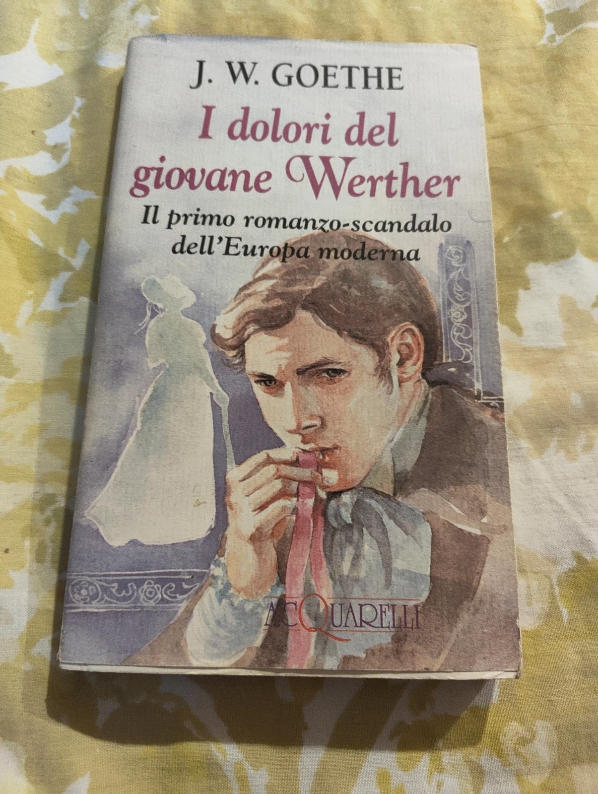 I dolori del giovane Werther Goethe Acquarelli edizione illustrata