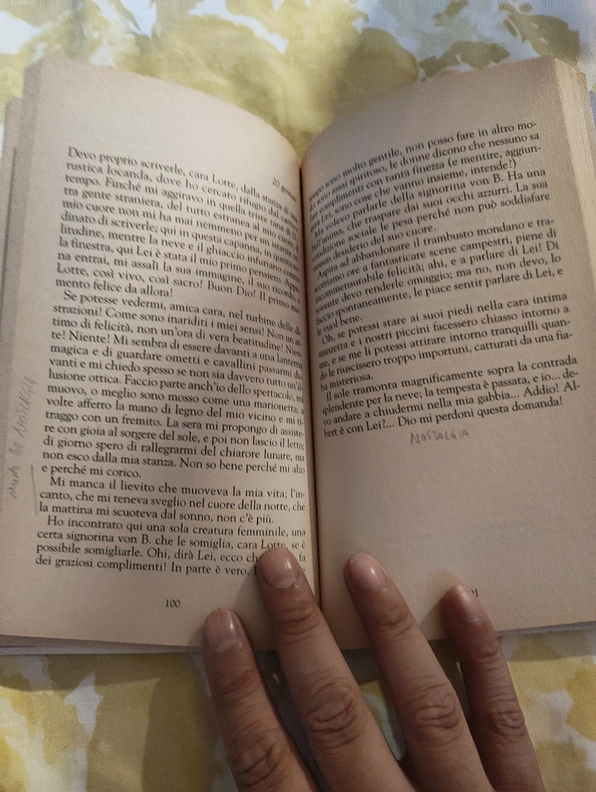 I dolori del giovane Werther Goethe Acquarelli edizione illustrata