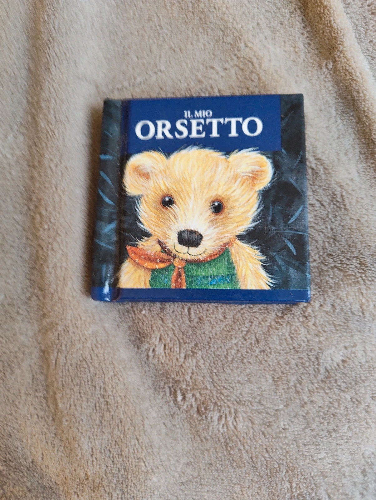 Il mio Orsetto libro per bambini vintage