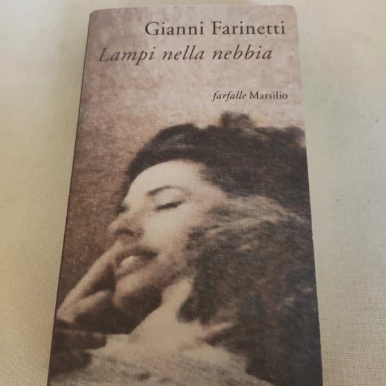 Lampi nella nebbia Gianni Farinetti Marsilio