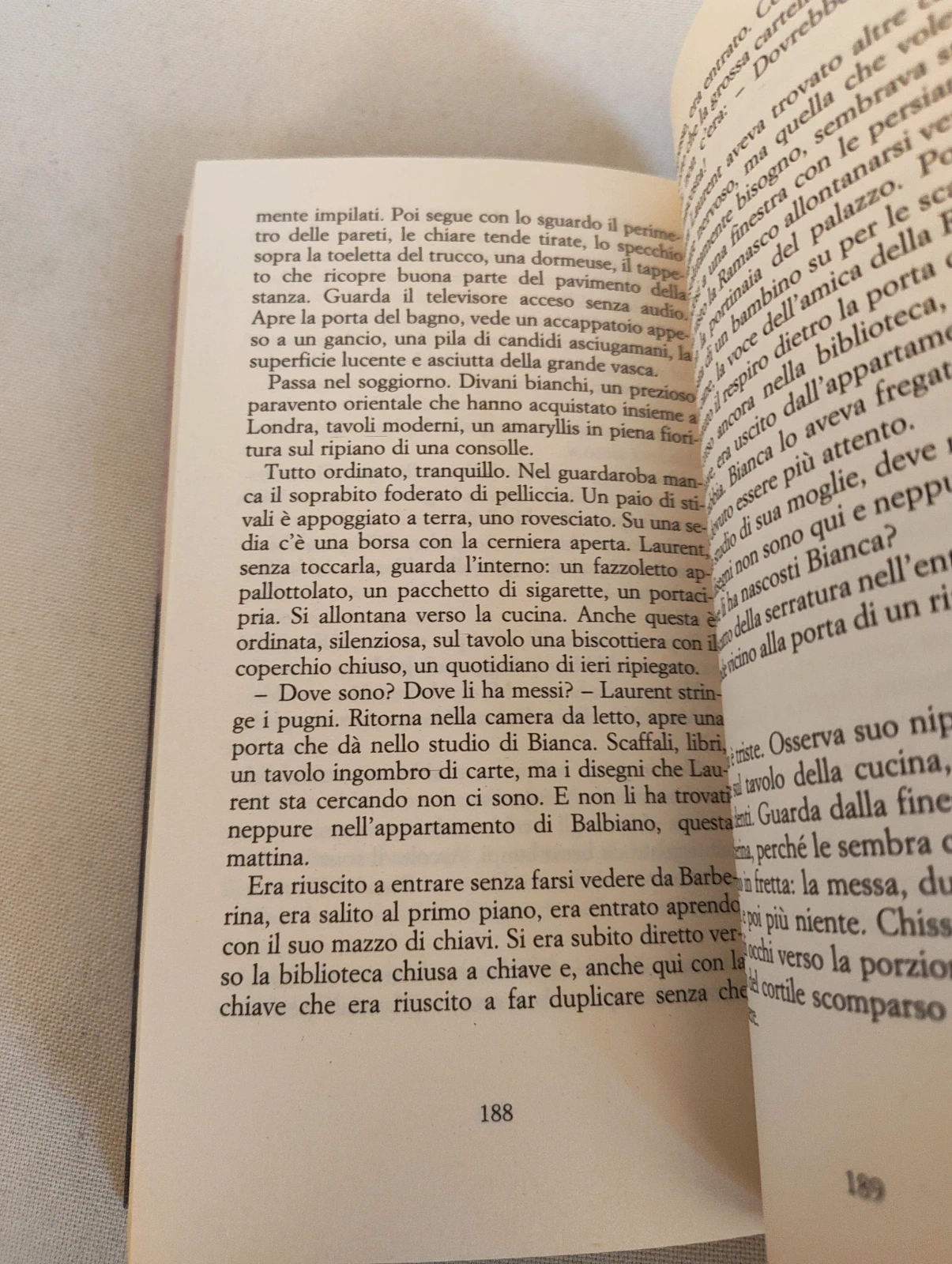 Lampi nella nebbia Gianni Farinetti Marsilio
