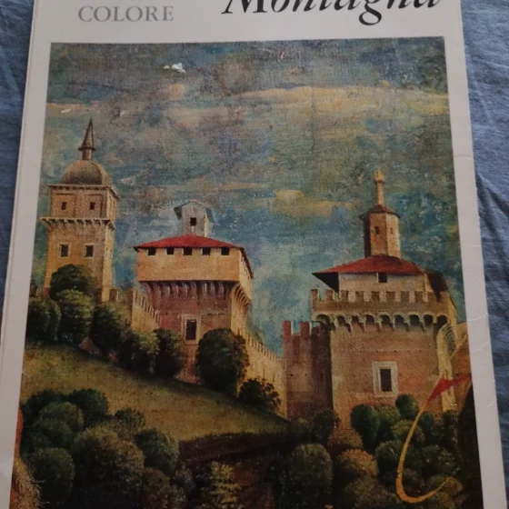 Libro Montagna I Maestri Del Colore 55 Fratelli Fabbri Editori Arte