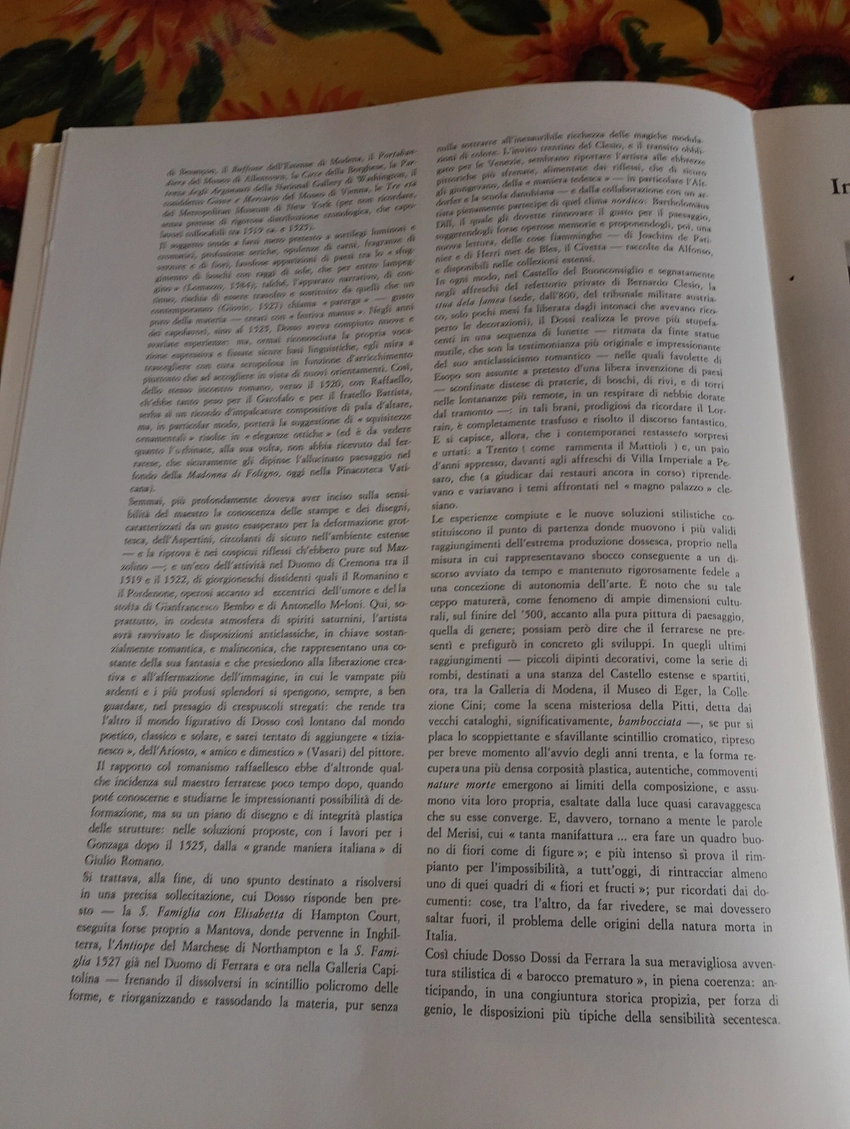 Libro Dosso Dossi I Maestri Del Colore Fratelli Fabbri Editori Arte Monografia