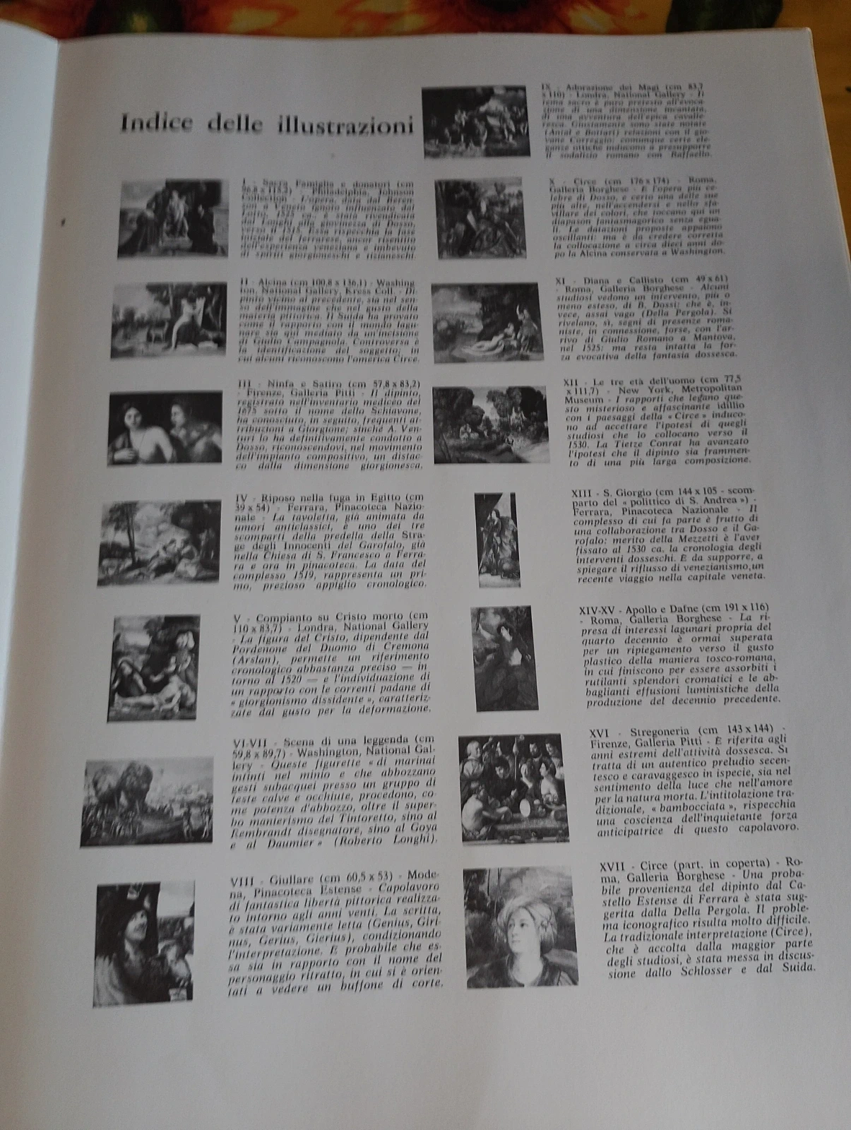 Libro Dosso Dossi I Maestri Del Colore Fratelli Fabbri Editori Arte Monografia