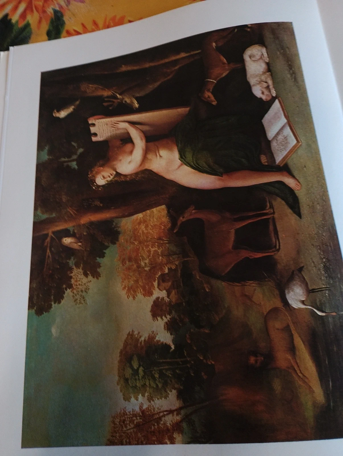 Libro Dosso Dossi I Maestri Del Colore Fratelli Fabbri Editori Arte Monografia