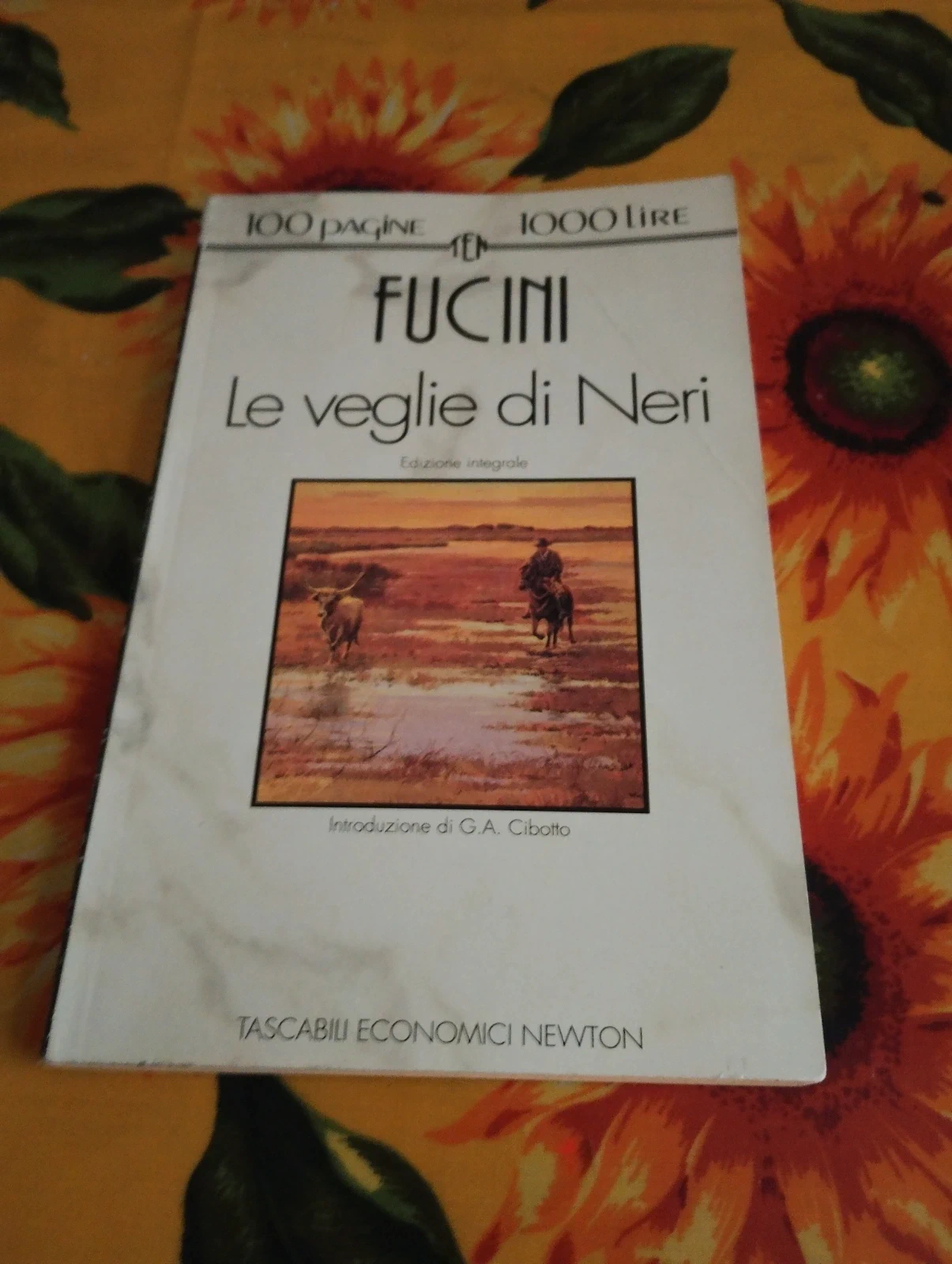 Libro "Le veglie di Neri" - Renato Fucini (100 pagine 1000 lire)