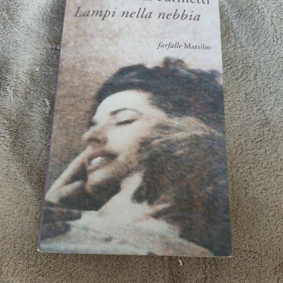 Lampi nella nebbia Gianni Farinetti Marsilio Farfalle 2000