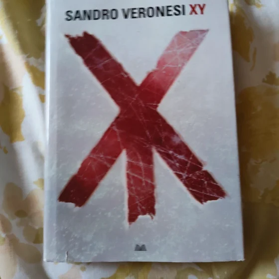 XY Sandro Veronesi Fandango 2010 Prima edizione