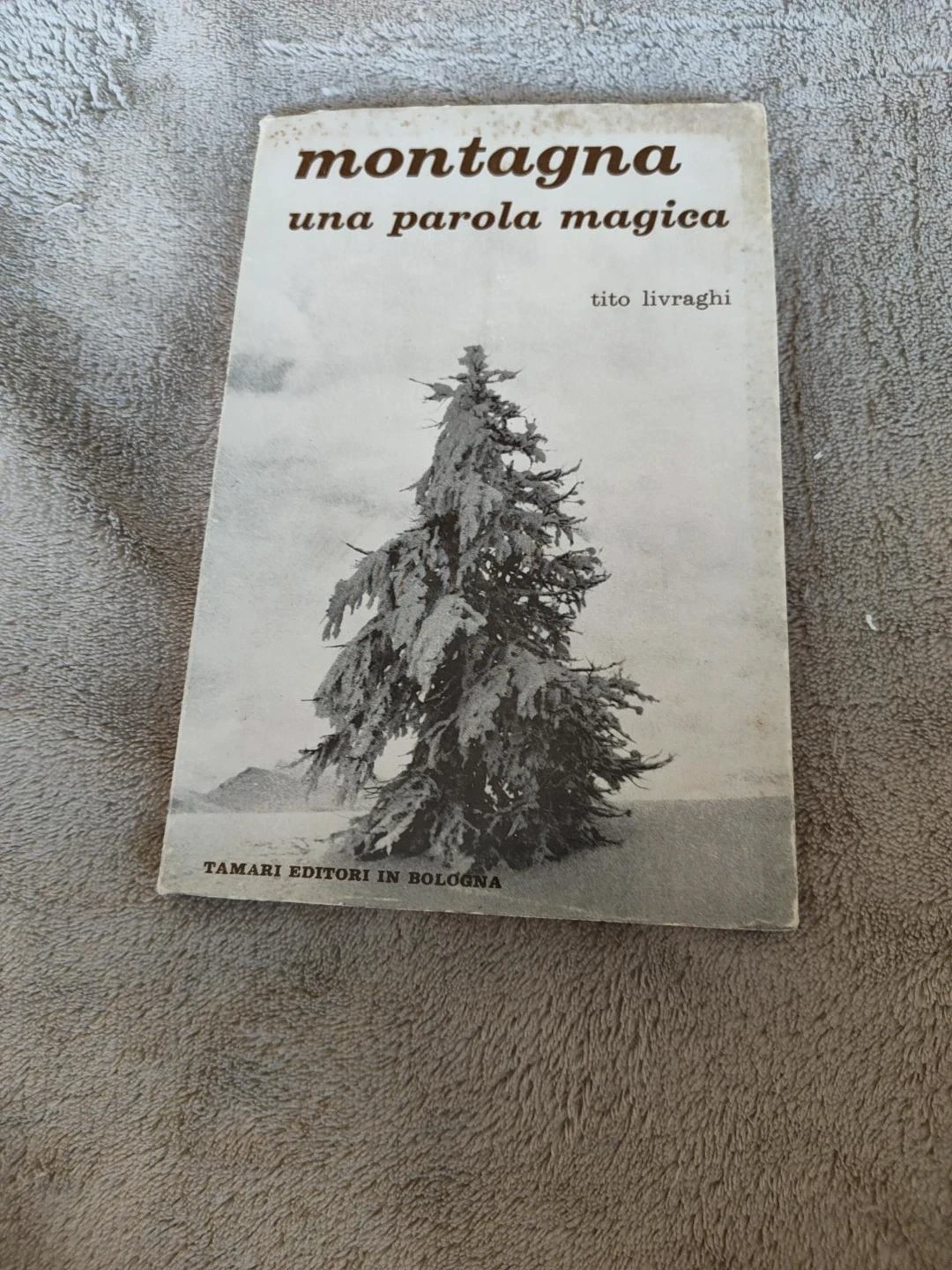 Montagna una parola magica Tito Livraghi Tamari 1971 raro