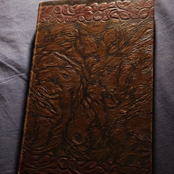 ah quella vacanza vanni pucci salani biblioteca dei miei ragazzi libro vintage illustrato faorzi