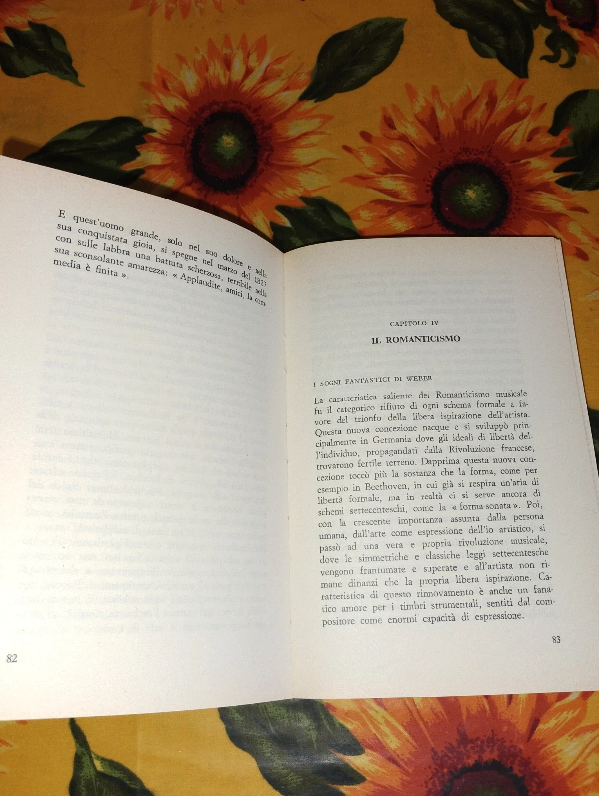 Camillo Tommasi di Vignano - Guida alla musica sinfonica - Edindustria Editoriale