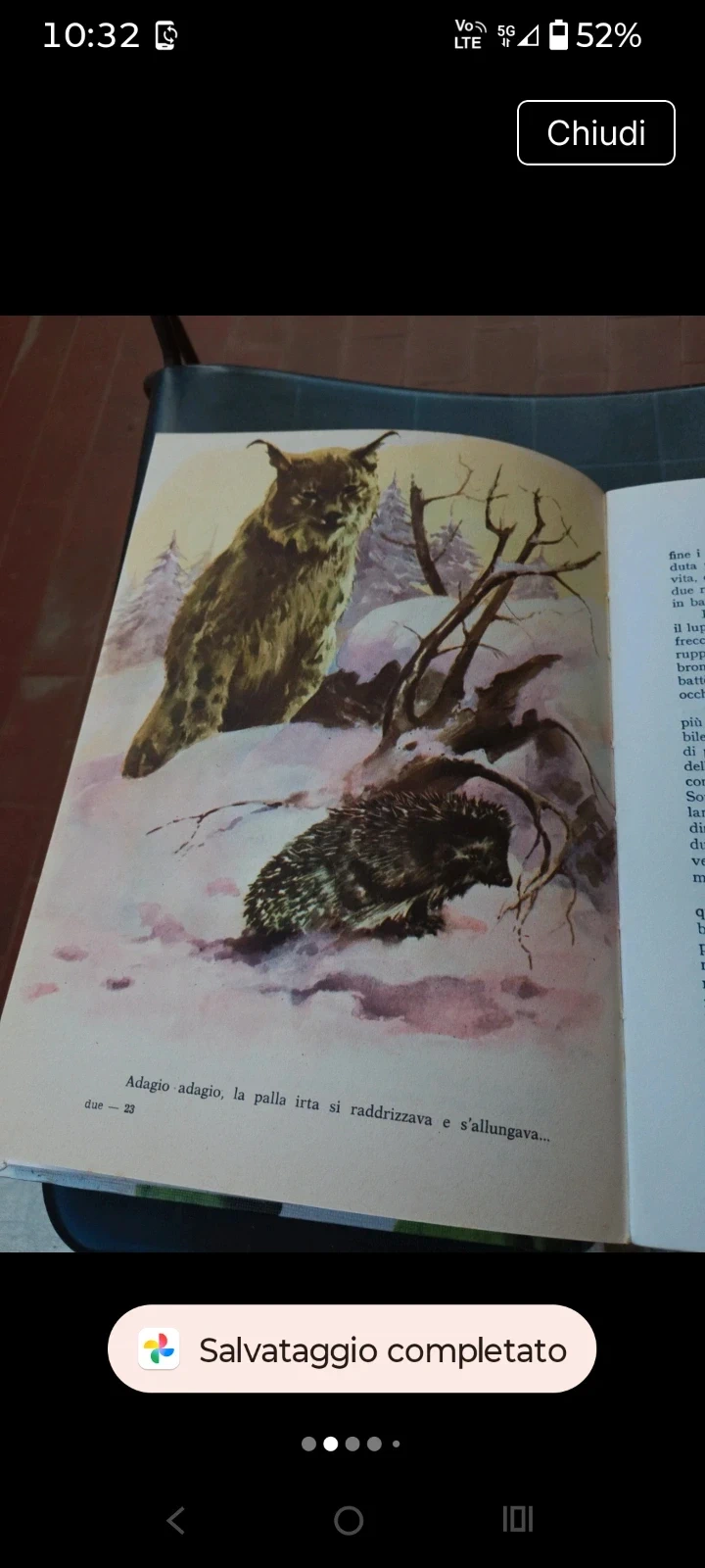 Rare vintage 70s favola Zanna Bianca - Jack London | Edizione Boschi (Copertina rigida)
