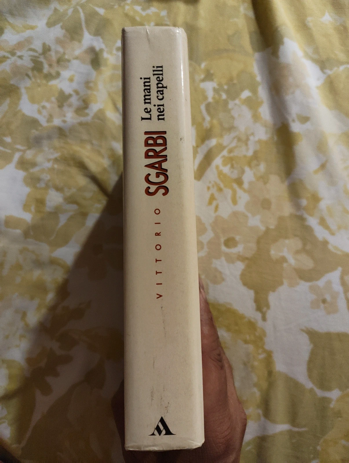 Le mani nei capelli Vittorio Sgarbi Mondadori prima edizione 1993