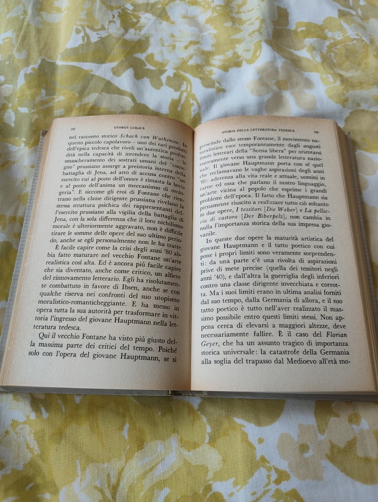 Breve storia letteratura tedesca György Lukács