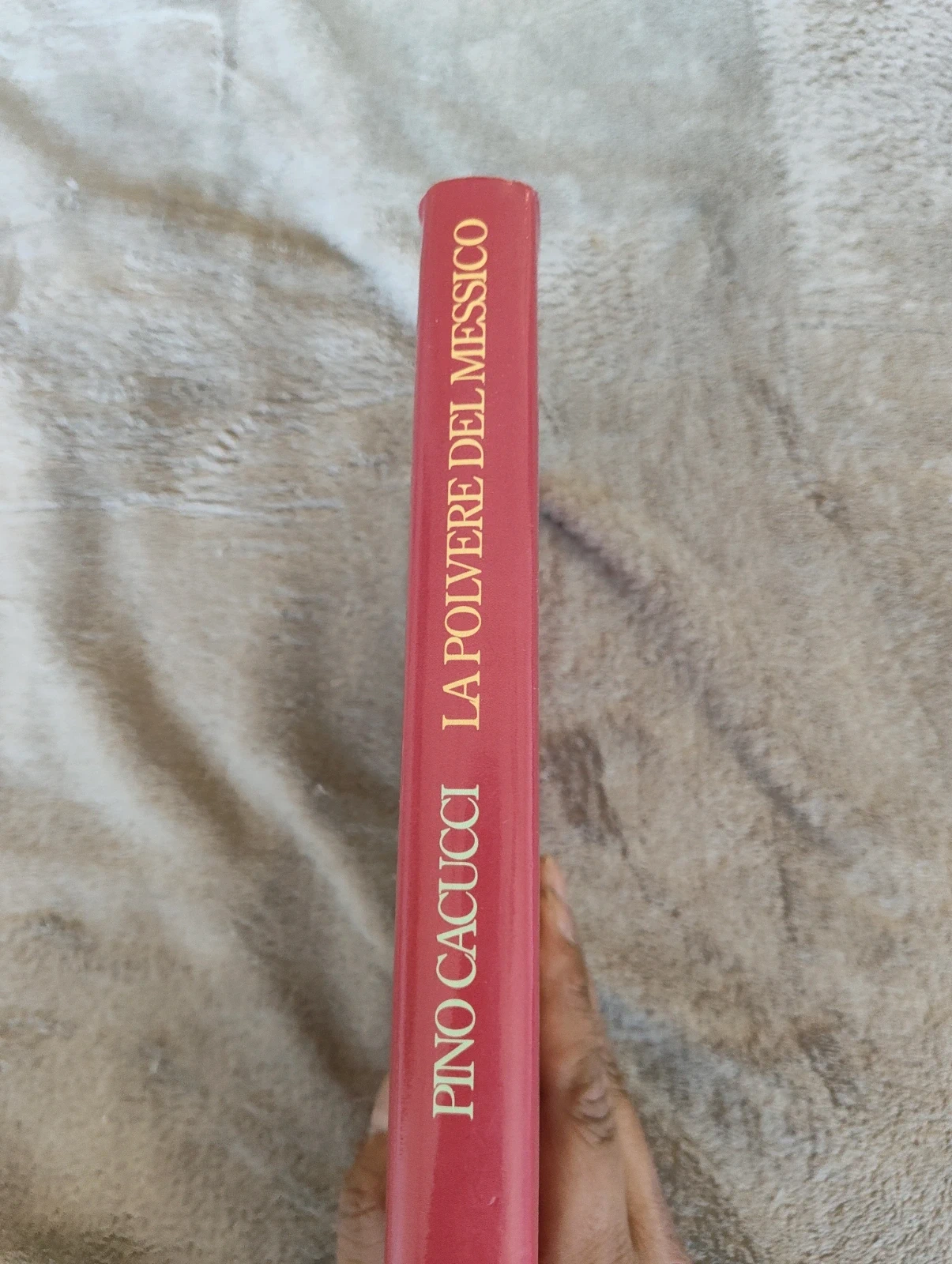 La polvere del Messico Pino Cacucci Mondadori prima edizione 1992